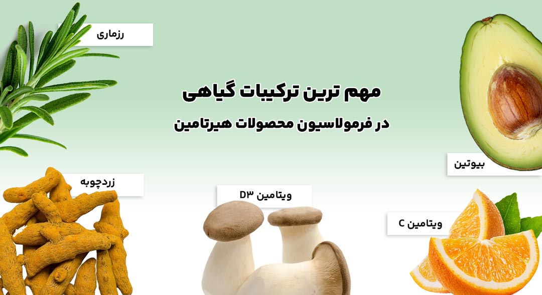ترکیبات گیاهی هیرتامین